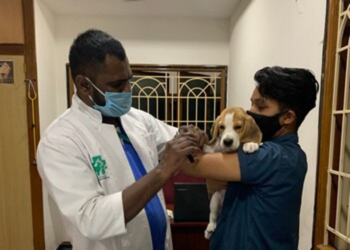 Coimbatore Best Veterinary Clinics for Your Furry Friends in 2024