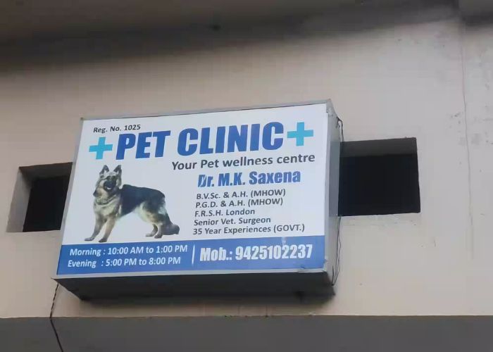 Finding the Best Pet Healthcare in Indore: A 2024 Guide