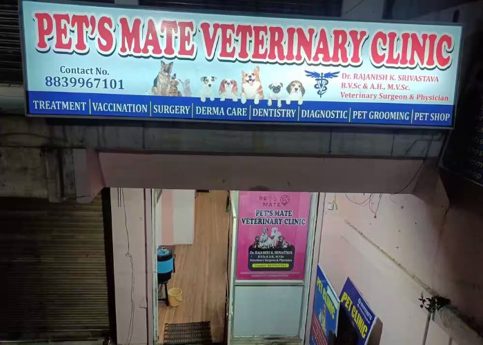 Finding the Best Pet Healthcare in Indore: A 2024 Guide