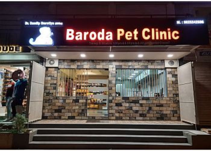 Vadodara Leading Pet Health Services: Ensuring Great Care in 2024