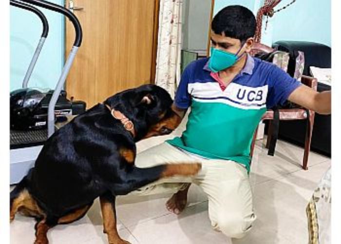 Ranchi Top Pet Health Services: Finding the Best Vet Care in 2024