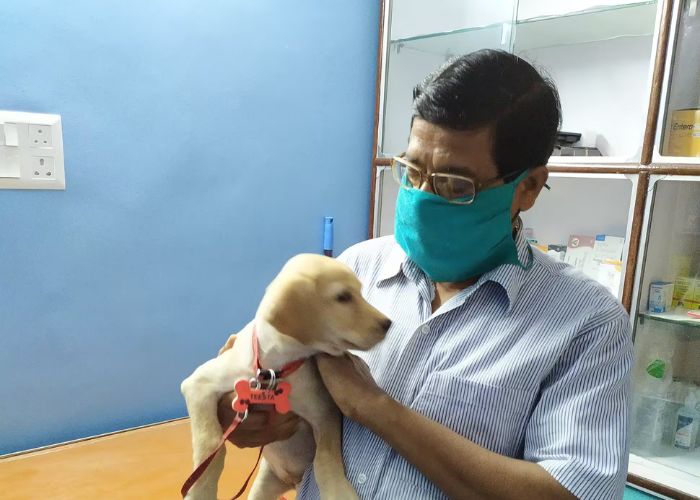 Kolkata Best Pet Health Services: Top Vet Care in the Suburbs for 2024